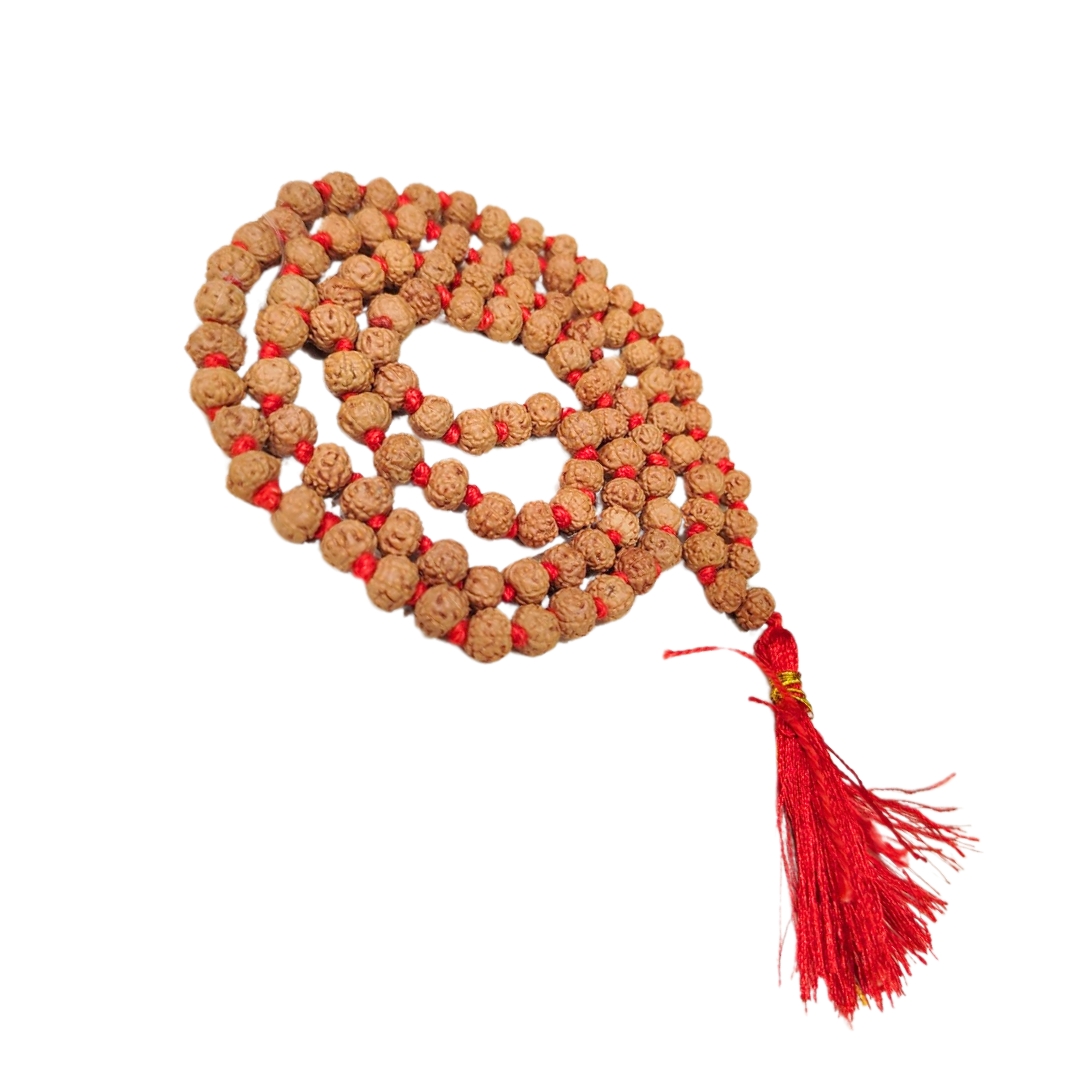 7 mukhi rudraksha mala